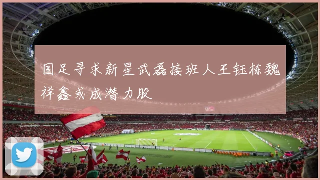 国足寻求新星武磊接班人王钰栋魏祥鑫或成潜力股