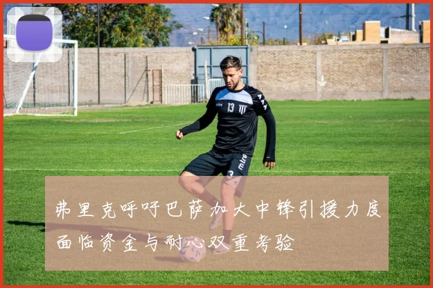 弗里克呼吁巴萨加大中锋引援力度面临资金与耐心双重考验